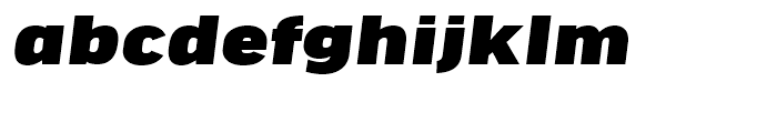 FF Good Headline Extended Ultra Italic Font LOWERCASE
