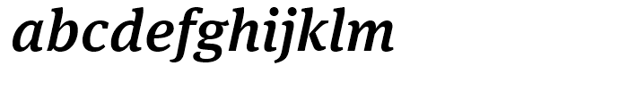 FF Meta Serif Medium Italic Font LOWERCASE