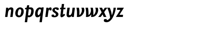 FF Nexus Sans Bold Italic Font LOWERCASE