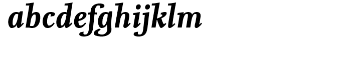 FF Nexus Serif Bold Italic Font LOWERCASE