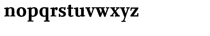 FF Nexus Serif Bold Font LOWERCASE