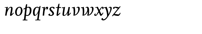 FF Nexus Serif Regular Italic Font LOWERCASE