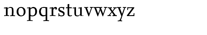 FF Nexus Serif Regular Font LOWERCASE
