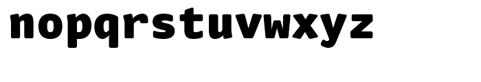 FF Nuvo Mono Black Font LOWERCASE