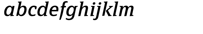 FF Page Serif Regular Italic Font LOWERCASE