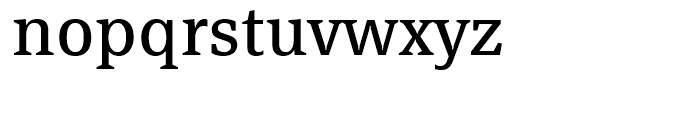 FF Page Serif Regular Font LOWERCASE
