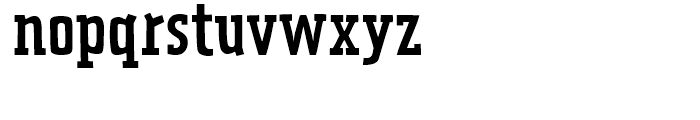 FF Prater Serif Regular Font LOWERCASE