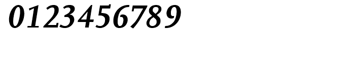 FF Scala Bold Italic Font OTHER CHARS