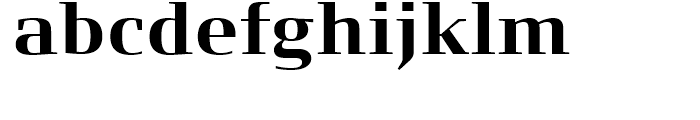 FF Signa Serif Bold Font LOWERCASE