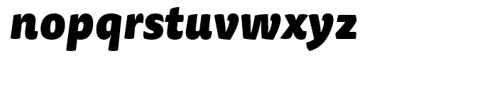 FF Tisa Sans Black Italic Font LOWERCASE