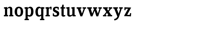 FF Zine Serif Display Medium Font LOWERCASE