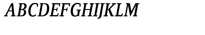 FF Zine Serif Display Regular Italic Font UPPERCASE