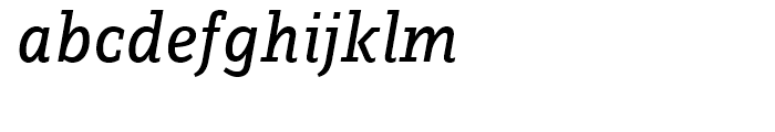 FF Zine Slab Display Regular Italic Font LOWERCASE