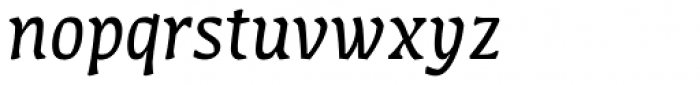 FF Amman Serif OT Italic Font LOWERCASE