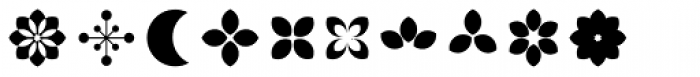 FF Dingbats 2 Stars Flowers Font OTHER CHARS