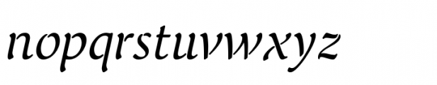 FF Elegie Regular Italic Font LOWERCASE