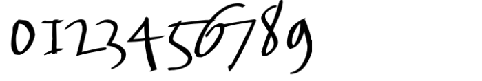 FF FancyWriting Std Median Font OTHER CHARS