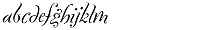 FF Fontesque OT Italic Font LOWERCASE