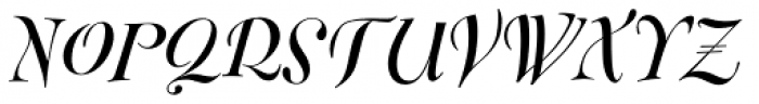 FF Fontesque Pro Display Bold Italic Font UPPERCASE