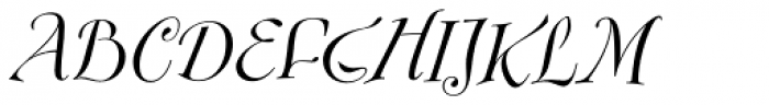 FF Fontesque Pro Display Regular Italic Font UPPERCASE