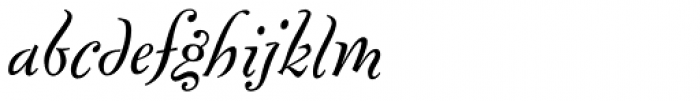 FF Fontesque Pro Text Regular Italic Font LOWERCASE