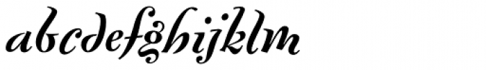 FF Fontesque Std Text Bold Italic Font LOWERCASE