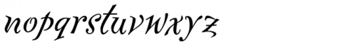 FF Fontesque Std Text Regular Italic Font LOWERCASE