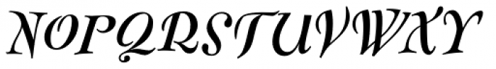 FF Fontesque Text Pro Bold Italic Font UPPERCASE