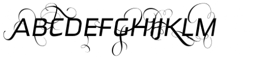 FF Ginger Flamboyant OT Light Font UPPERCASE