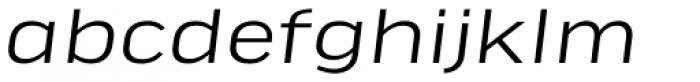 FF Good Headline OT Extd Light Italic Font LOWERCASE