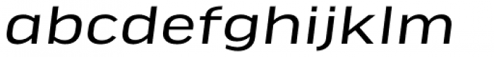 FF Good Headline Pro Extd Italic Font LOWERCASE