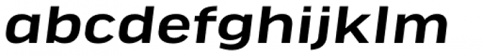 FF Good Headline Pro Extd Medium Italic Font LOWERCASE