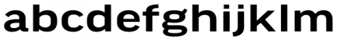 FF Good Headline Pro Extd Medium Font LOWERCASE