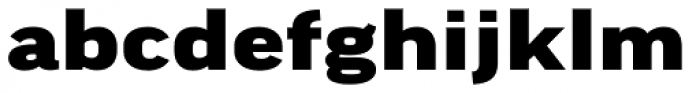 FF Good Pro Extd Black Font LOWERCASE