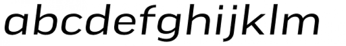 FF Good Pro Extd Italic Font LOWERCASE