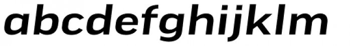 FF Good Pro Extd Medium Italic Font LOWERCASE