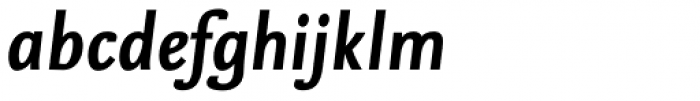 FF Nexus Sans OT Bold Italic Font LOWERCASE