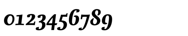FF Nexus Serif Bold Italic Font OTHER CHARS