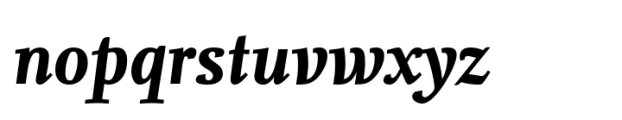 FF Nexus Serif Bold Italic Font LOWERCASE
