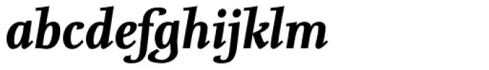 FF Nexus Serif OT Bold Italic Font LOWERCASE