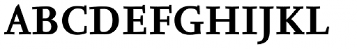 FF Nexus Serif Pro Bold Font UPPERCASE