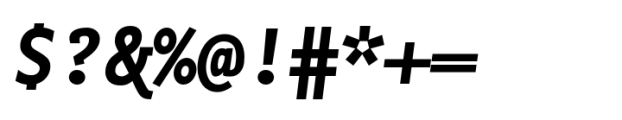FF Nexus Typewriter Bold Italic Font OTHER CHARS