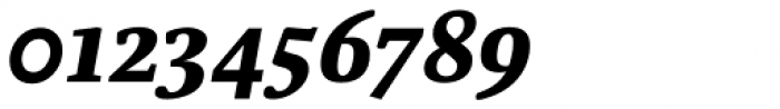 FF Parable OT ExtraBold Italic Font OTHER CHARS