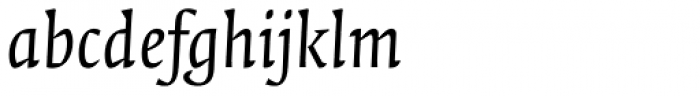 FF Quadraat Pro Italic Font LOWERCASE