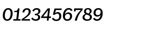 FF Real Head Book Italic Font OTHER CHARS