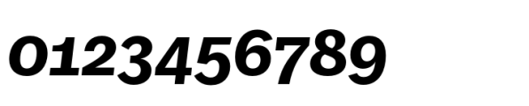 FF Real Text Bold Italic Font OTHER CHARS