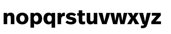 FF Real Text Bold Font LOWERCASE