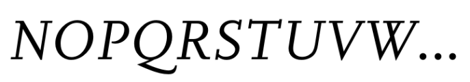 FF Scala Italic Font UPPERCASE