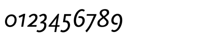 FF Scala Sans Italic Font OTHER CHARS