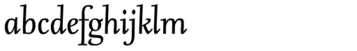 FF Seria Pro Italic Font LOWERCASE